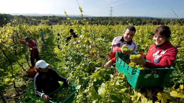 Who does the public think should be allowed to come to work in the UK? Let’s ask them