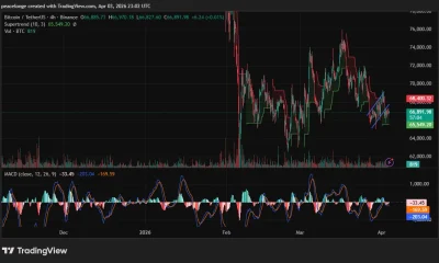 Is Bitcoin price forming a bear flag at $66,900 as its daily MACD reaches its deepest negative reading in months? - 1