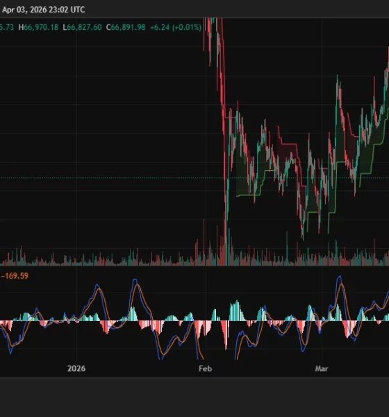 Is Bitcoin price forming a bear flag at $66,900 as its daily MACD reaches its deepest negative reading in months? - 1
