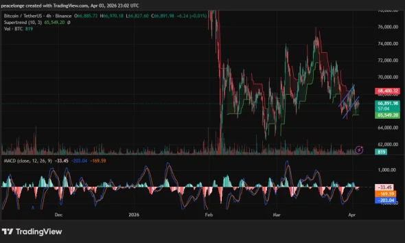 Is Bitcoin price forming a bear flag at $66,900 as its daily MACD reaches its deepest negative reading in months? - 1