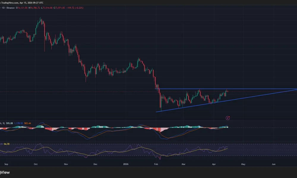 Bitcoin price has formed a descending triangle pattern on the daily chart.