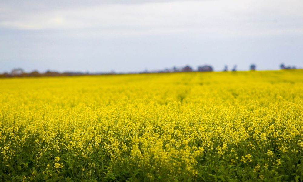 Opinion: Farmer outcomes a key measure