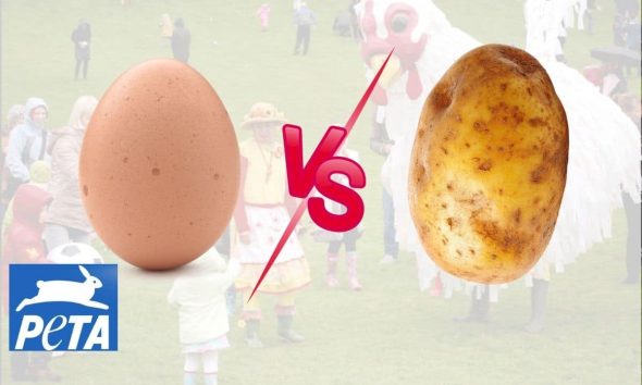 PETA have picked up another nonsense campaign