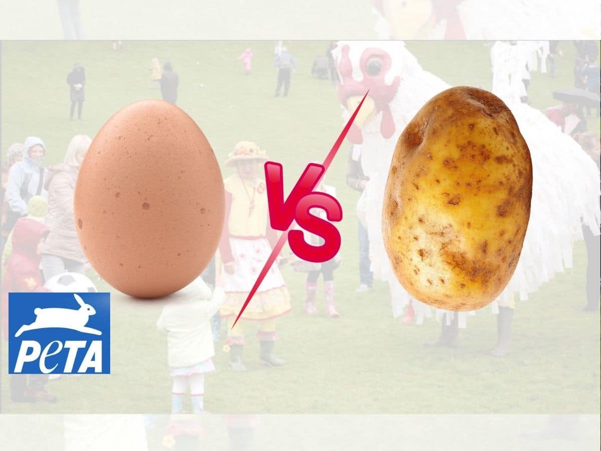 PETA have picked up another nonsense campaign