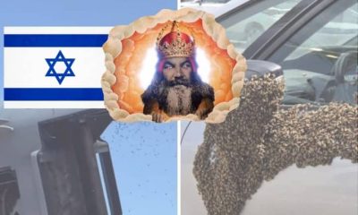 Image of swarms of bees in Israel and the depiction of God from Monty Python