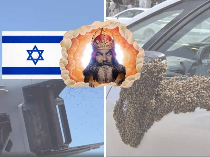 Image of swarms of bees in Israel and the depiction of God from Monty Python