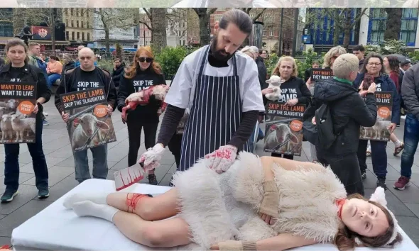 This Easter, Animal Justice Project urge people to 'Skip the Lamb'