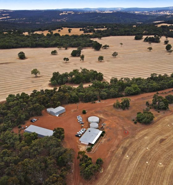 Chalice appoints Odin as strategic advisor