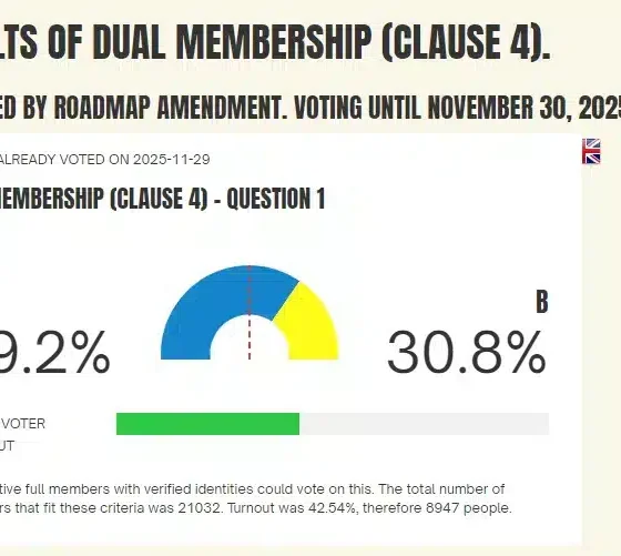 Your Party identity crisis