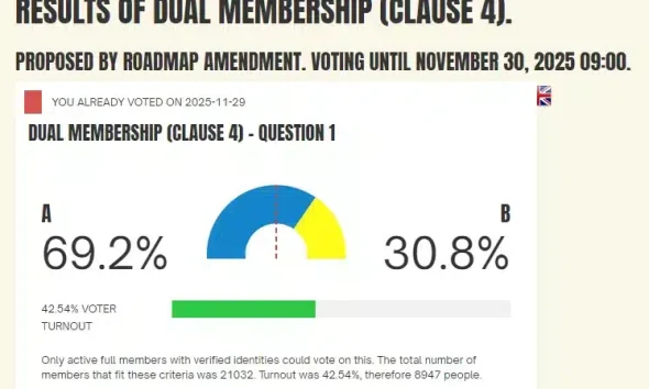 Your Party identity crisis