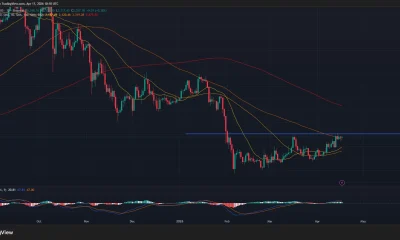 Ethereum price and MACD chart.