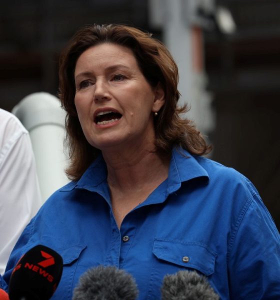 Minister made ‘capricious’ demersal ban for political reasons, fishers say in court