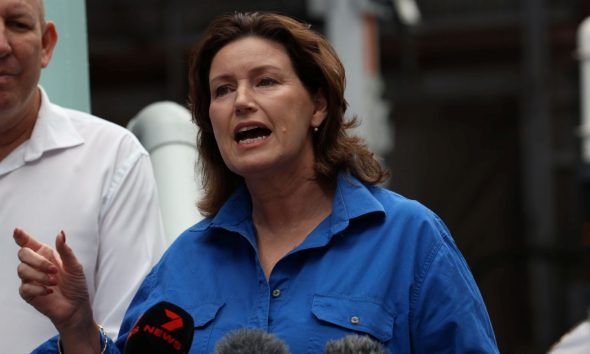 Minister made ‘capricious’ demersal ban for political reasons, fishers say in court