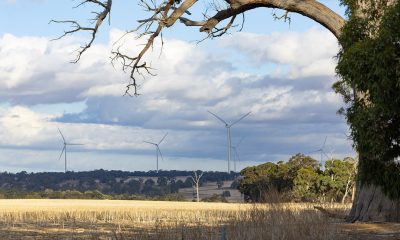 OPINION: Language a barrier to wind farm trust