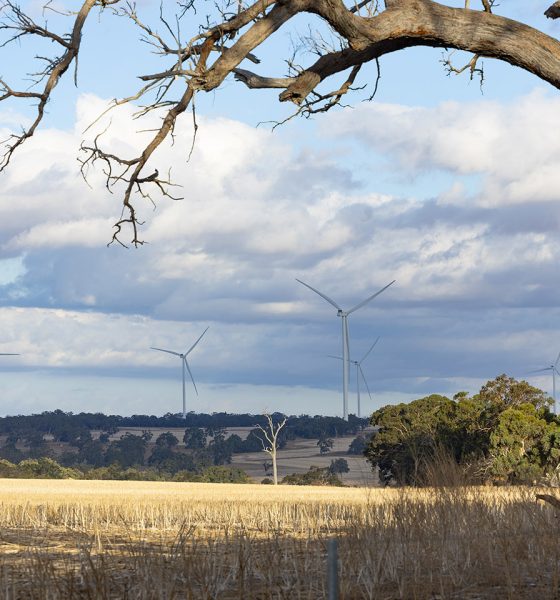 OPINION: Language a barrier to wind farm trust
