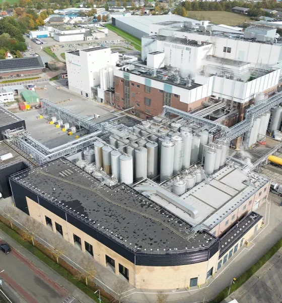 Whey protein production doubles for FrieslandCampina