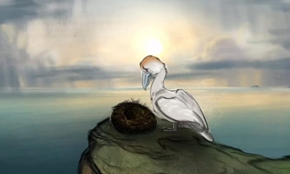 'Succession' star Brian Cox narrates new film exposing controversial gannet hunt - watch here