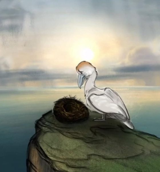 'Succession' star Brian Cox narrates new film exposing controversial gannet hunt - watch here