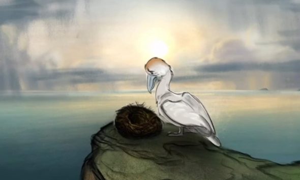 'Succession' star Brian Cox narrates new film exposing controversial gannet hunt - watch here