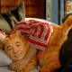 How A Case Of Mistaken Identity Led To Bill Murray’s Most Bizarre Role