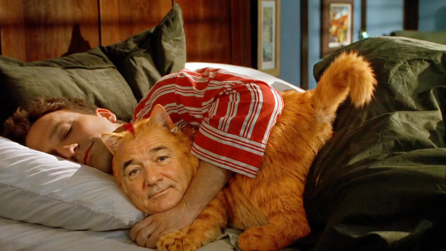 How A Case Of Mistaken Identity Led To Bill Murray’s Most Bizarre Role