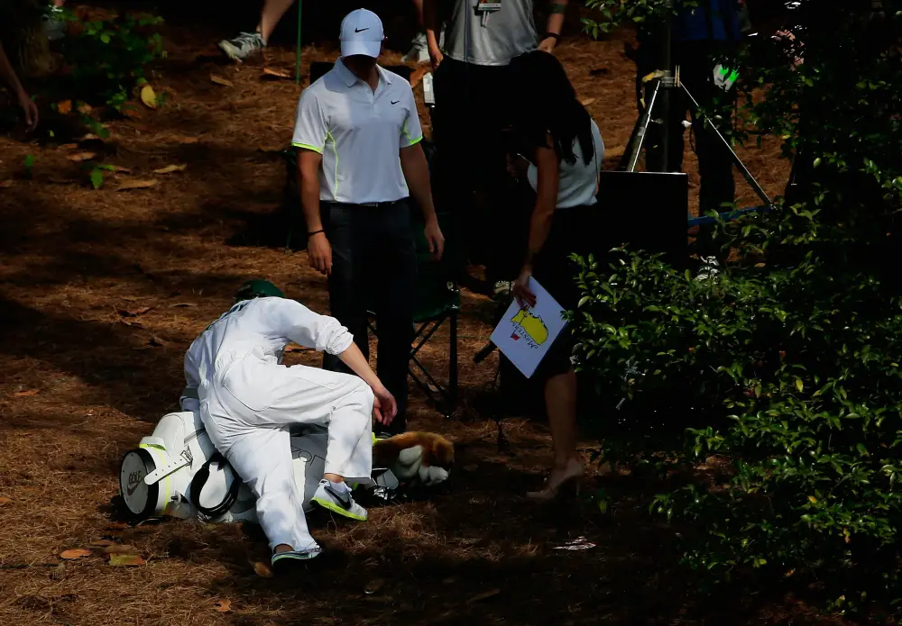 Remember When Niall Horan Caddied for Rory McIlroy and Wiped Out on Live TV?