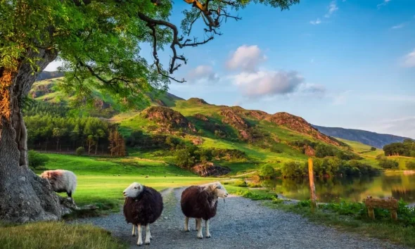 'Beautiful corner of the world' named Brits' favourite UK holiday spot for summer 2026