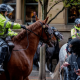 Greater Manchester Police