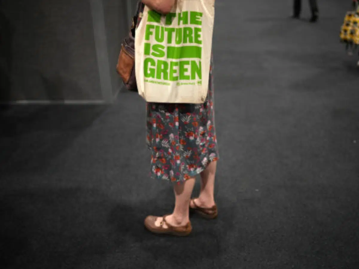 Green Party racism under spotlight in shock letter