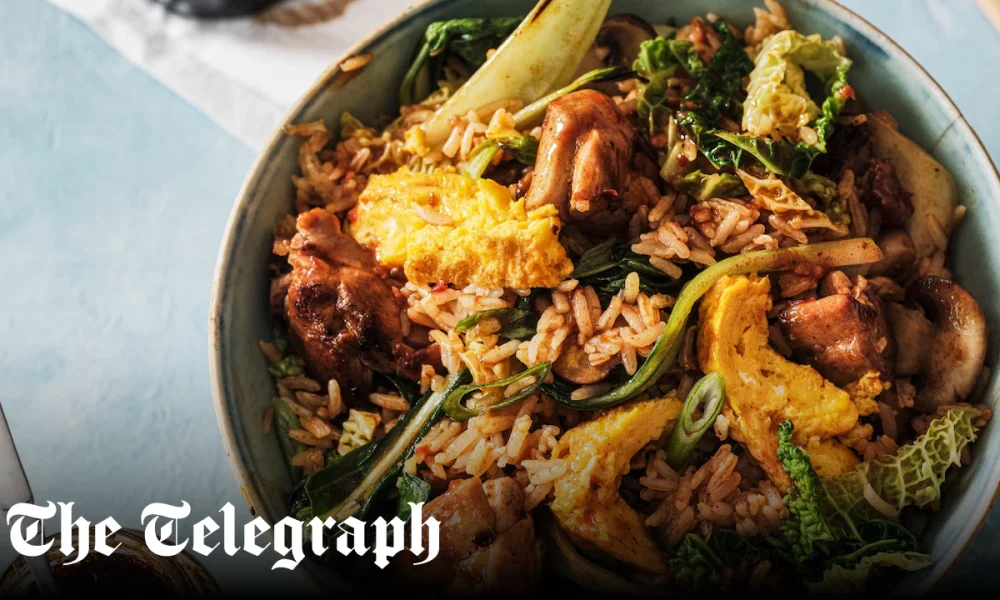 Chinese-style chicken and egg fried rice