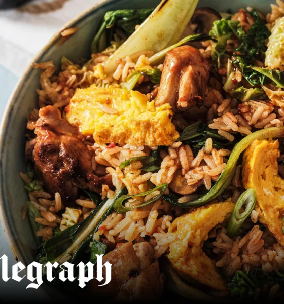 Chinese-style chicken and egg fried rice