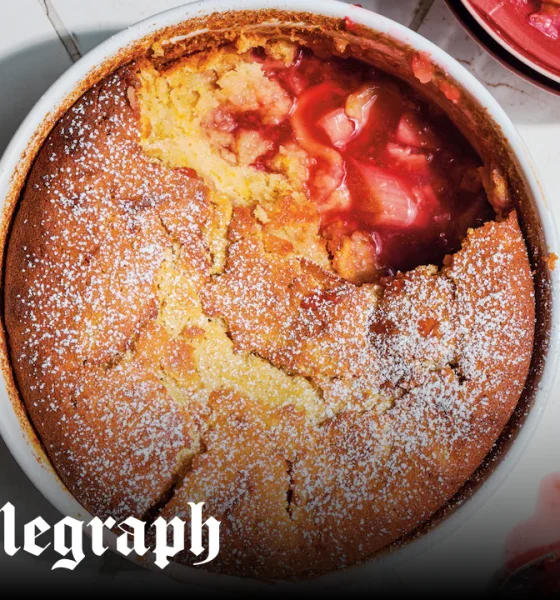 Rhubarb, apple and raspberry pudding with sour cream and marmalade sponge