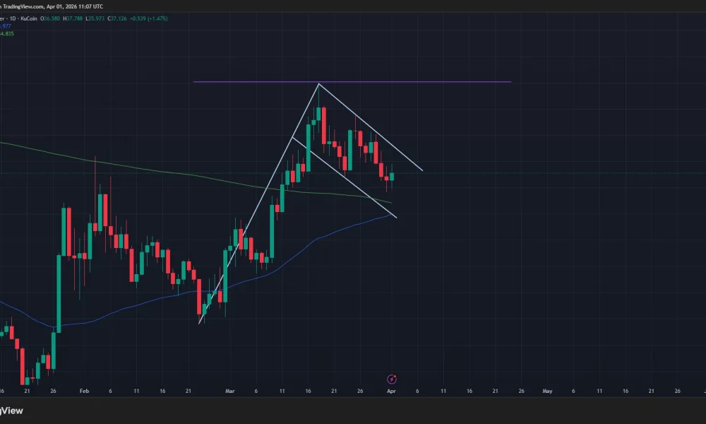 Hyperliquid price has formed a bullish flag pattern on the daily chart.