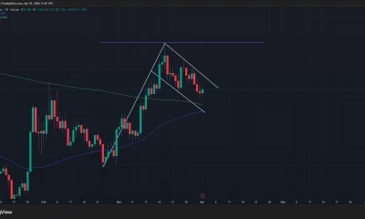Hyperliquid price has formed a bullish flag pattern on the daily chart.