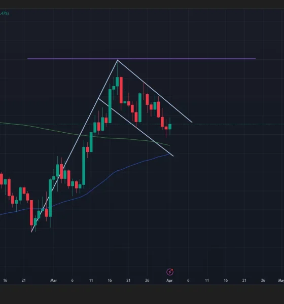 Hyperliquid price has formed a bullish flag pattern on the daily chart.
