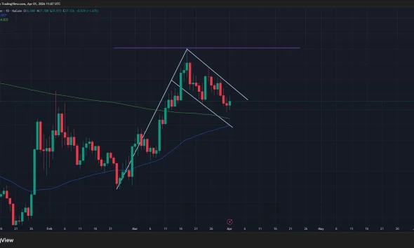 Hyperliquid price has formed a bullish flag pattern on the daily chart.