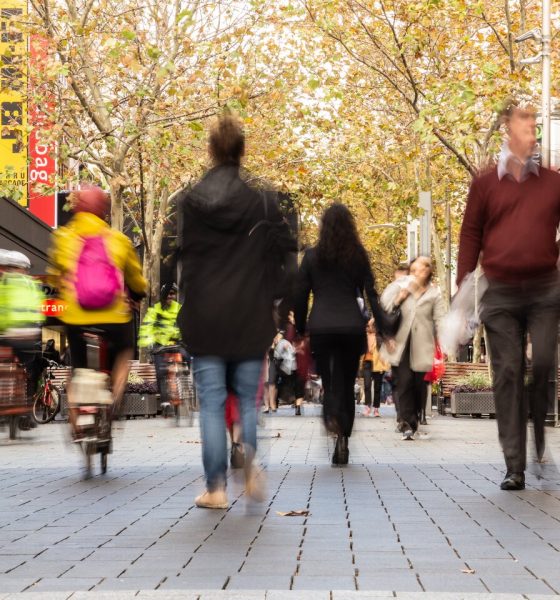 Budget won't be bonanza for cutting red tape: minister