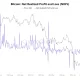 Bitcoin Bottom Signal? NRPL and NUPL Data Point to a Slow Recovery Phase
