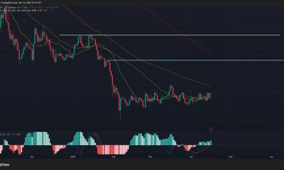 Chainlink price, MACD chart.