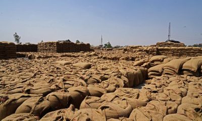 World food prices rose in March as Iran war lifted energy costs, FAO says