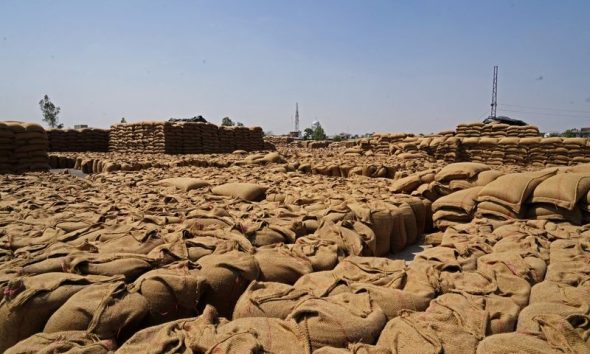 World food prices rose in March as Iran war lifted energy costs, FAO says