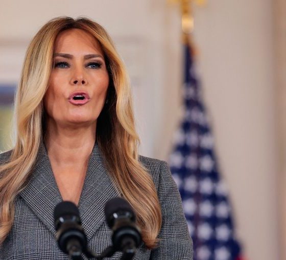 Melania Trump denies any Epstein connection, seeks end to ‘lies’