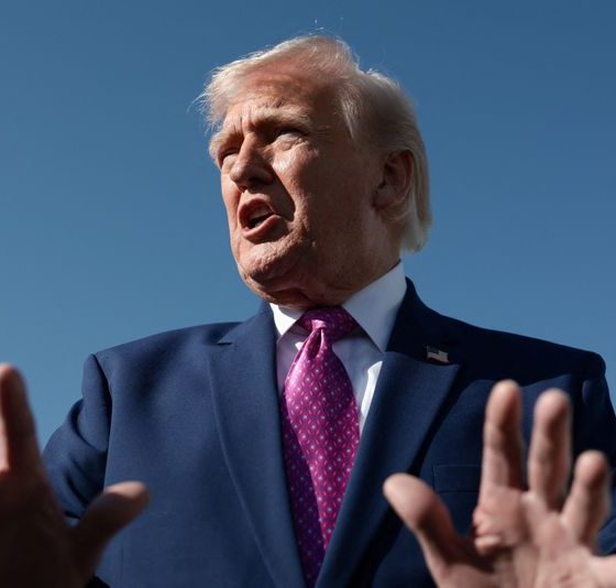 Trump says US will have Strait of Hormuz ’open fairly soon’