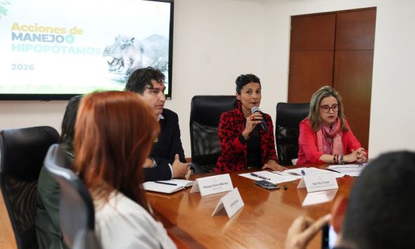 Colombia to control hippo population through euthanasia