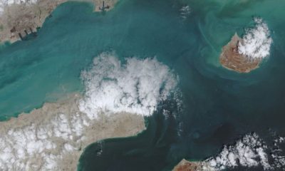 Convoy of tankers is seen leaving Gulf, vessel tracking data shows