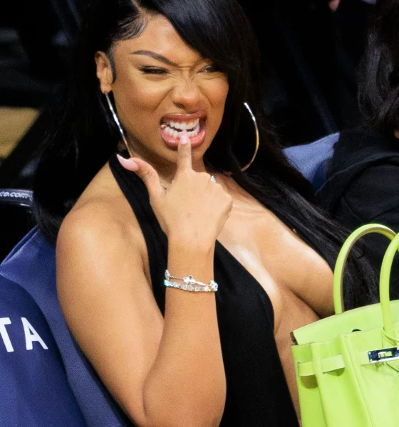 Megan Thee Stallion courtside.