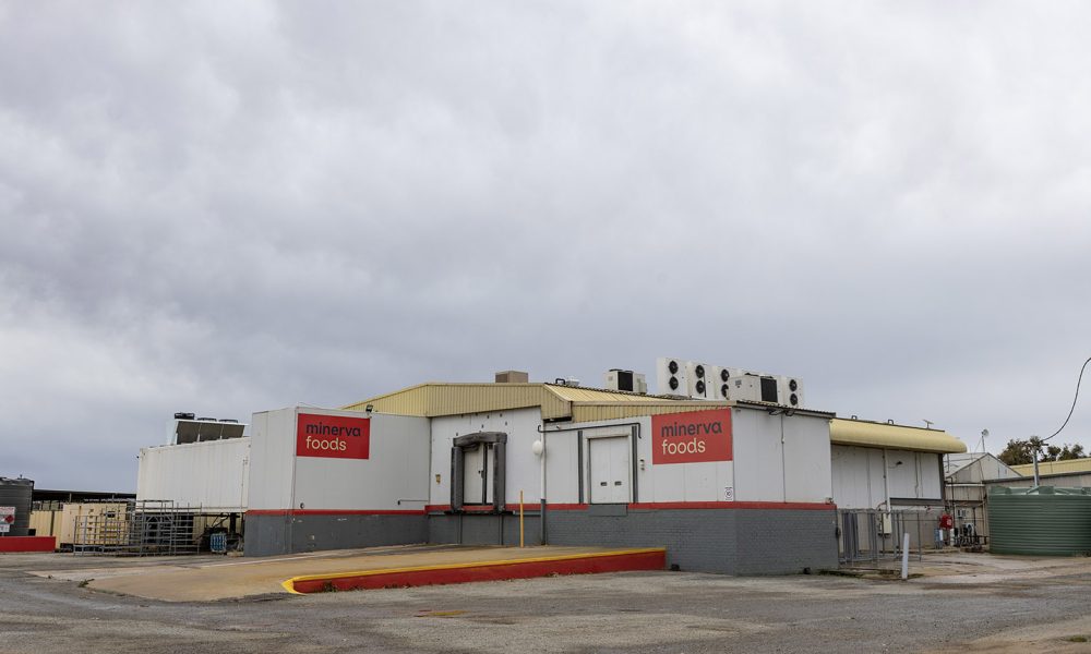 Brazil's Minerva puts Tammin, Esperance abattoirs on the market