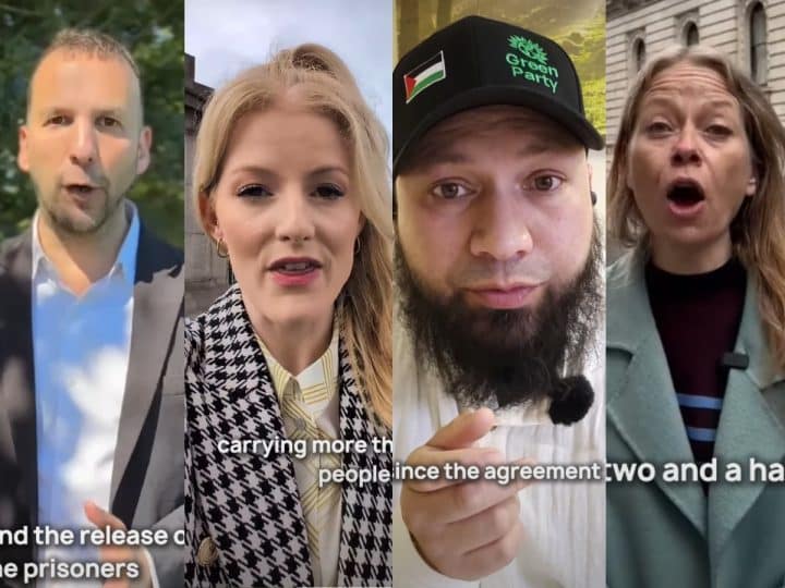 Gaza flotilla Greens