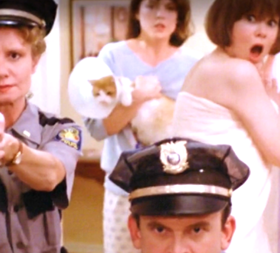 Nice Girls Don't Explode 1987