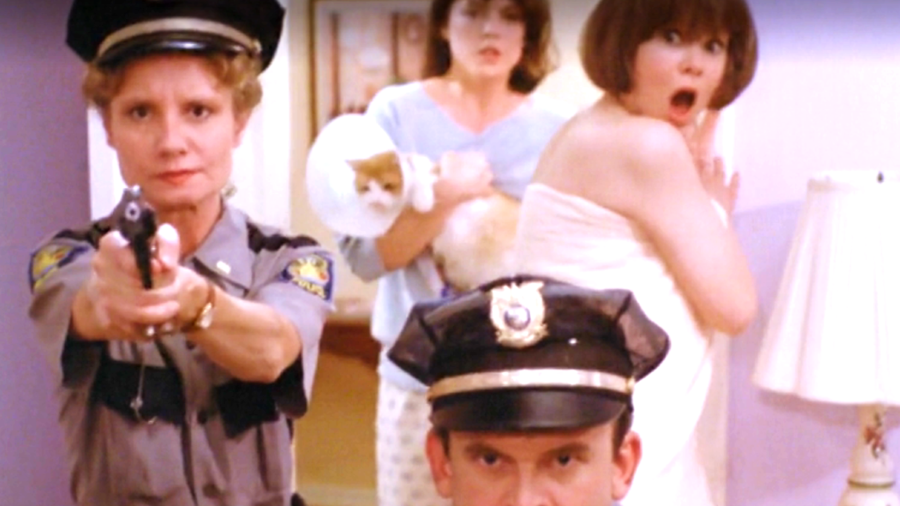 Nice Girls Don't Explode 1987